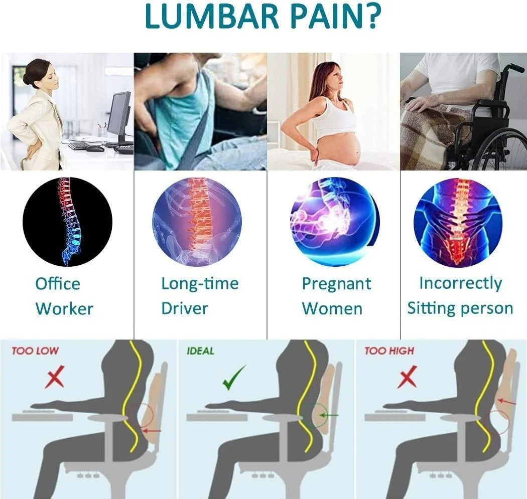 Lumbar Support Cushion